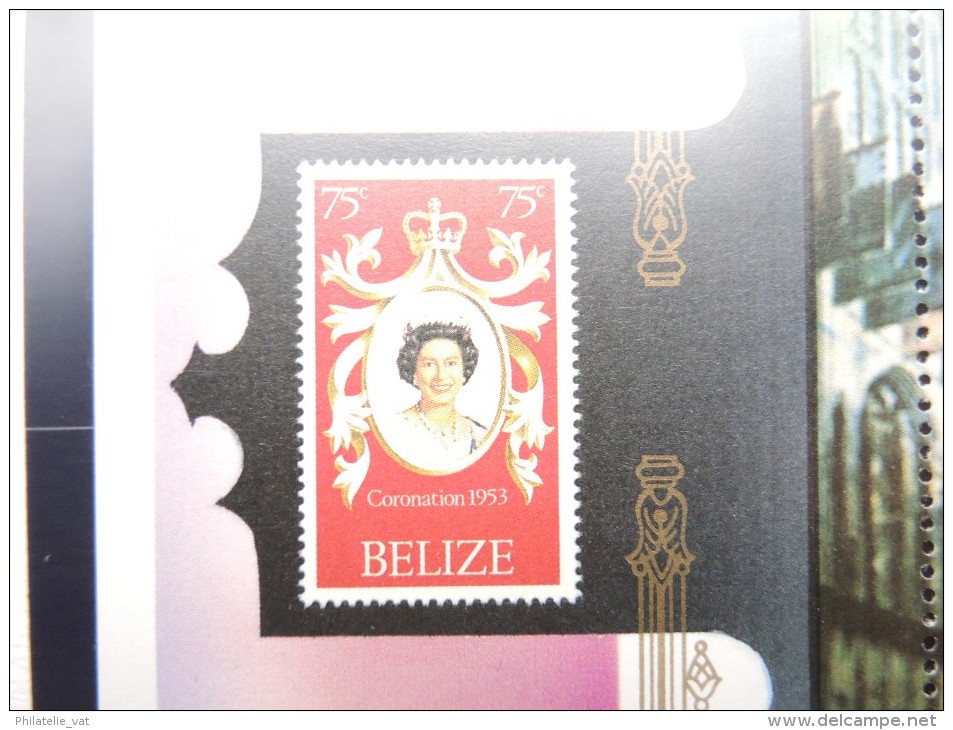 BELIZE - Bloc Luxe Avec Texte Explicatif - Belle Qualité - À Voir -  N° 11507 - Belize (1973-...)