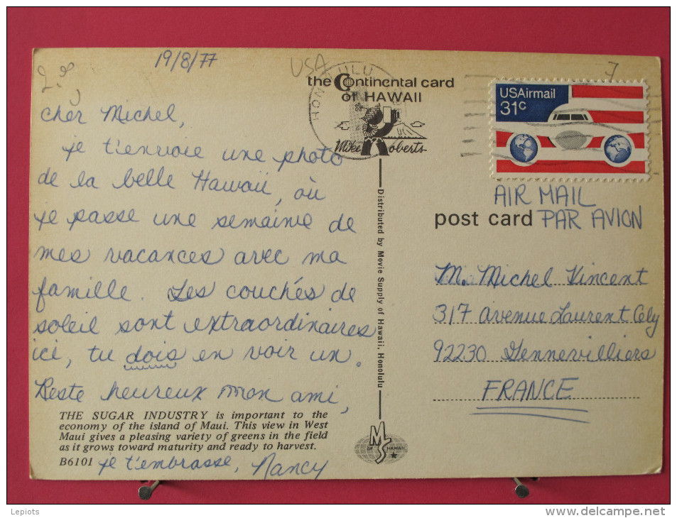 Carte Pas Très Courante - Etats Unis - Hawaï - Sugar Cane Fields Of Maui - Joli Timbre - Scans Recto-verso - Maui