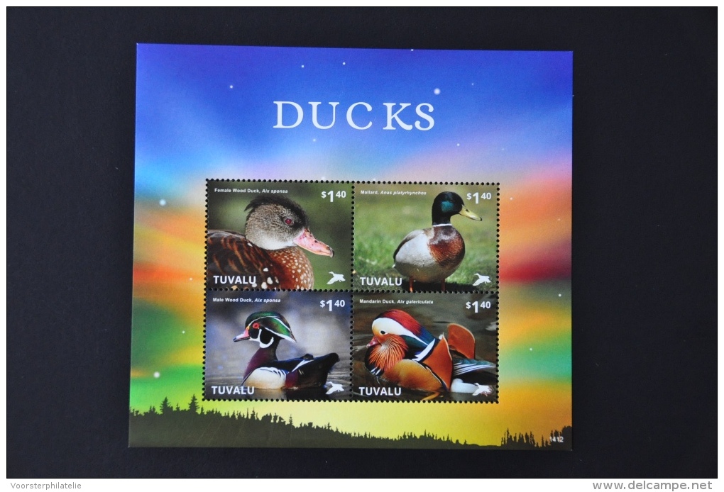 M1 106 ++ TUVALU 2014 VOGELS BIRDS OISEAUX DUCKS CANART EENDEN MNH ** - Tuvalu