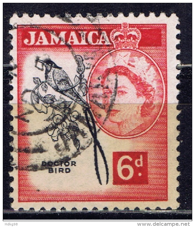JA+ Jamaika 1956 Mi 168 Kolibri - Jamaica (...-1961)