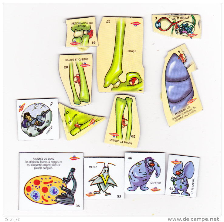 13 Magnets Le Gaulois Le Corps Humain N° 3 5 17 19 20x2 27 35 43 45 46 52 53 Sur 2 Scan - Magnets