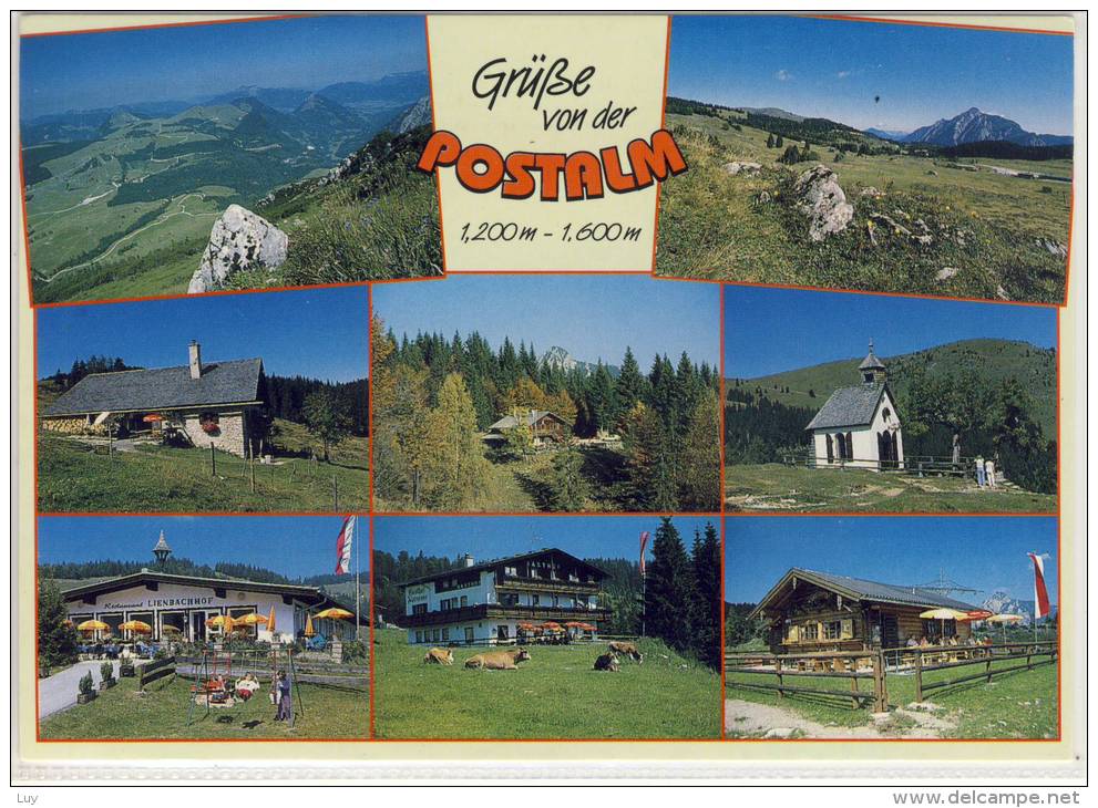 Grüße V. Der POSTALM -  Posthütte, Mehrbildkarte M. Stroblerhütte, Lienbachhof, Gasthof Alpensore, Blonde Hütte - Abtenau