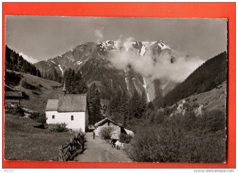 PCG-28 Kapelle Giessen Bei Binn. Chèvre à Cou Noir Du Haut-Valais Au Premier Plan. Breithorn, Cachet 1956 - Binn