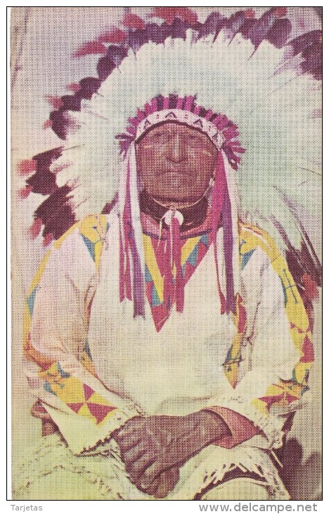 POSTAL DE WESTERN INDIAN CHIEF (JEFE INDIO) - Indios De América Del Norte