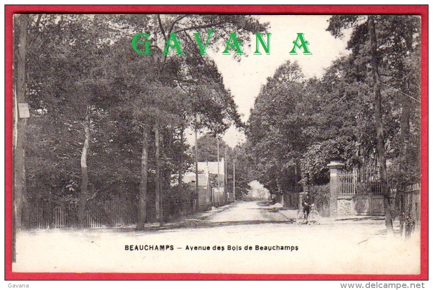 95 BEAUCHAMPS - Avenue Des Bois De Beauchamps - Beauchamp