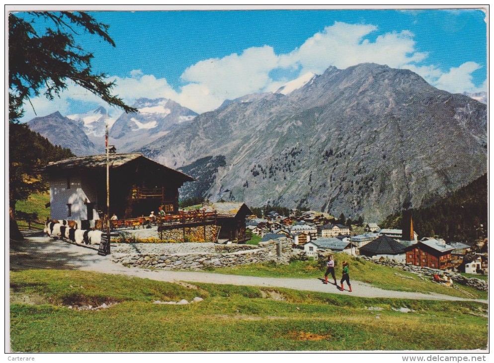 SUISSE,SCHWEIZ,SVIZZERA,SWITZERLAND,HELVETIA,SWISS ,VALAIS,PISTE MULTIERE,SAAS FEE,restaurant - Saas-Fee