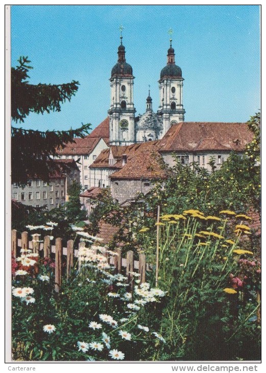 SUISSE,SCHWEIZ,SVIZZERA,SWITZERLAND,HELVETIA,SWISS ,SAINT GAL,SAINT GALLEN,printemps,fleurs - St. Gallen