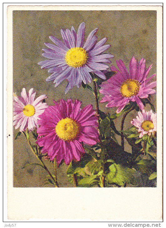 BIGLIETTO AUGURI - FIORI - 1951 - Fleurs