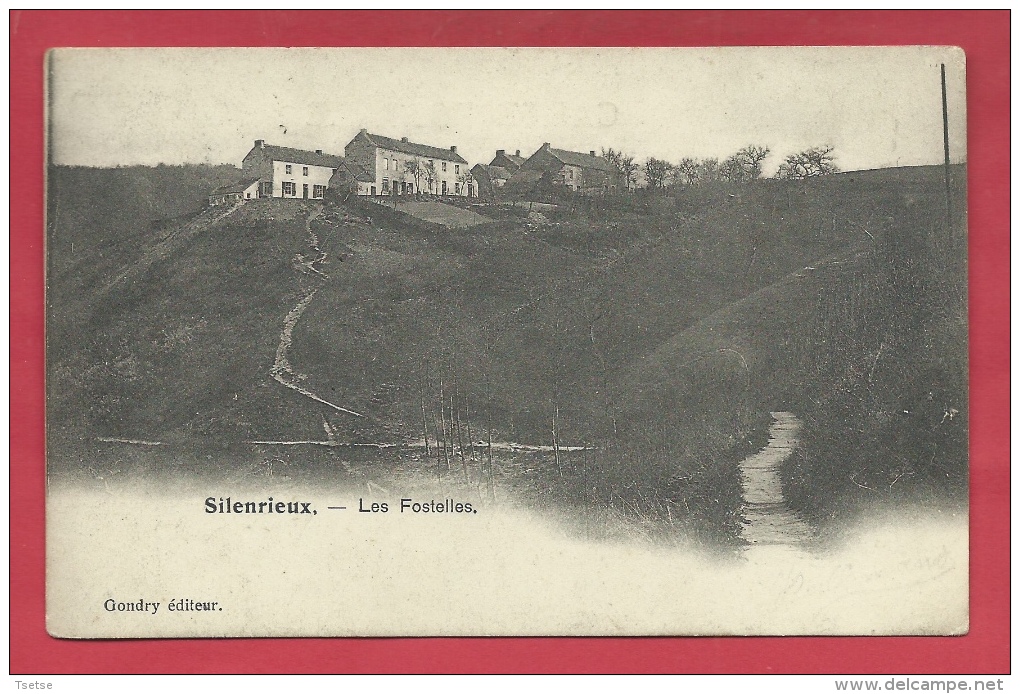 Silenrieux - Les Fostelles - 1906 ( Voir Verso ) - Cerfontaine