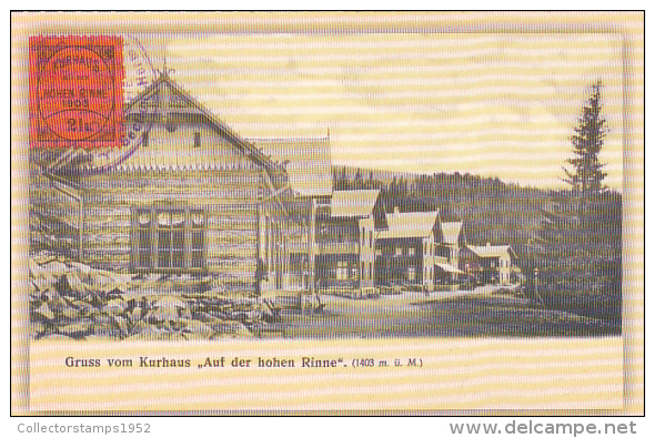 36369- PALTINIS- MOUNTAIN RESORT, HOHE RINNE, THERMAL BATHS, CHALETS - Rumänien