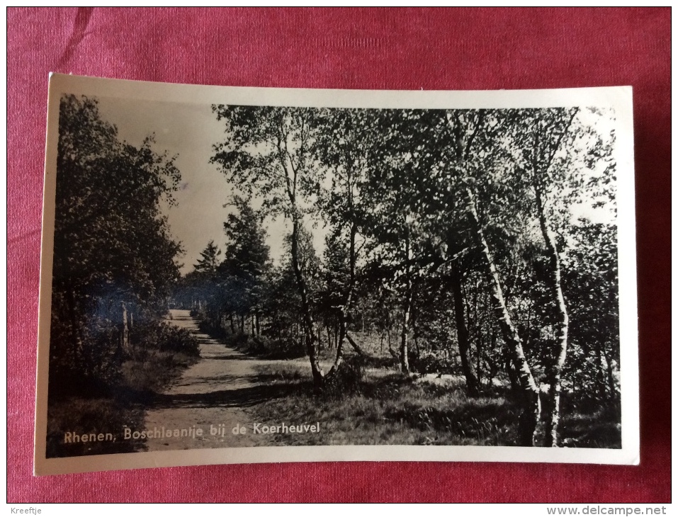 Nederland. Rhenen. Boschlaantje Bij De Koerheuvel - Rhenen