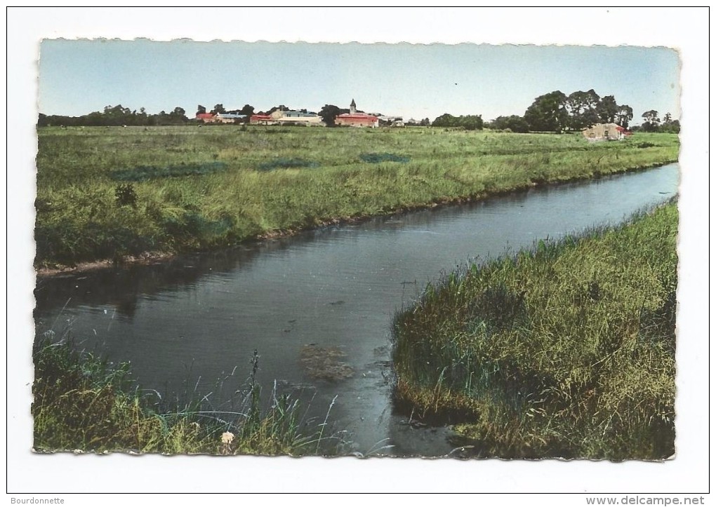 Nieulle Sur Seudre Marais Salant - Autres & Non Classés