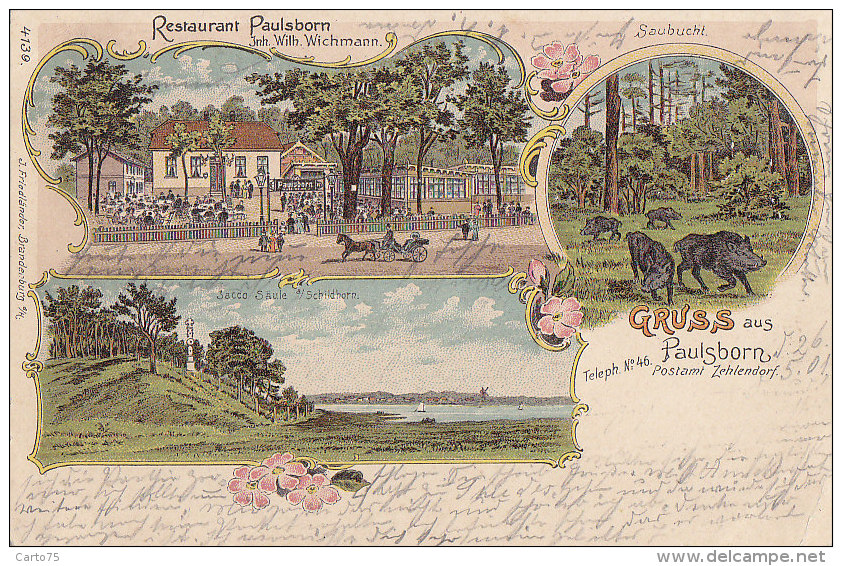 Allemagne - Gruss Aus Paulsborn - Restaurant Wichmann - Chasse Sanglier - Précurseur 1901 - Grunewald