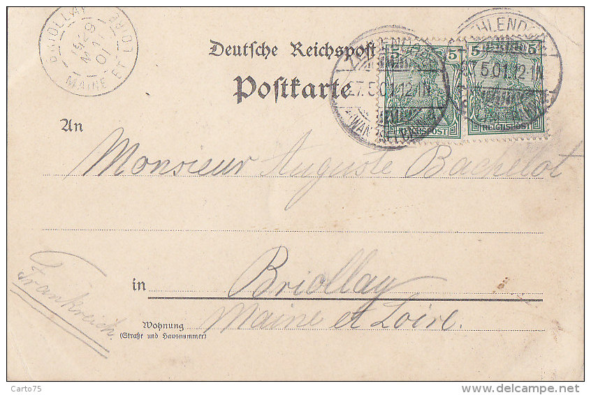 Allemagne - Gruss Aus Paulsborn - Restaurant Wichmann - Chasse Sanglier - Précurseur 1901 - Grunewald