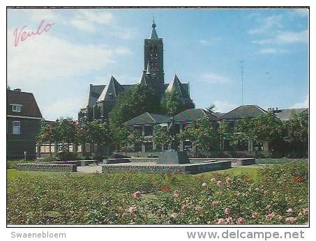 NL.- Venlo. Rozarium, Achtergrond Martinuskerk. Rosarium. Kerk. 2 Scans. - Venlo