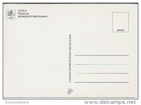 NL.- Venlo. Rozarium, Achtergrond Martinuskerk. Rosarium. Kerk. 2 Scans. - Venlo