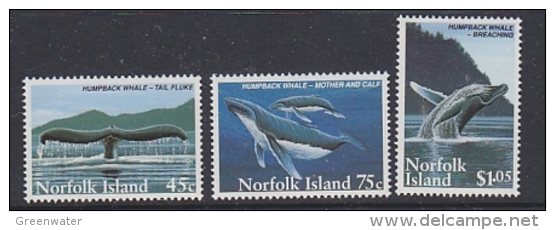 Norfolk Islands 1995 Whales 3v ** Mnh (27505) - Norfolk Eiland