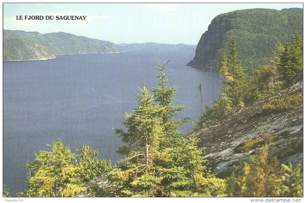 CA - Q - Le Fjord Du Saguenay - Unique De Sa Race Dans Tout L'Est De L'Amérique Du Nord... - Photo Line Fortin - Saguenay