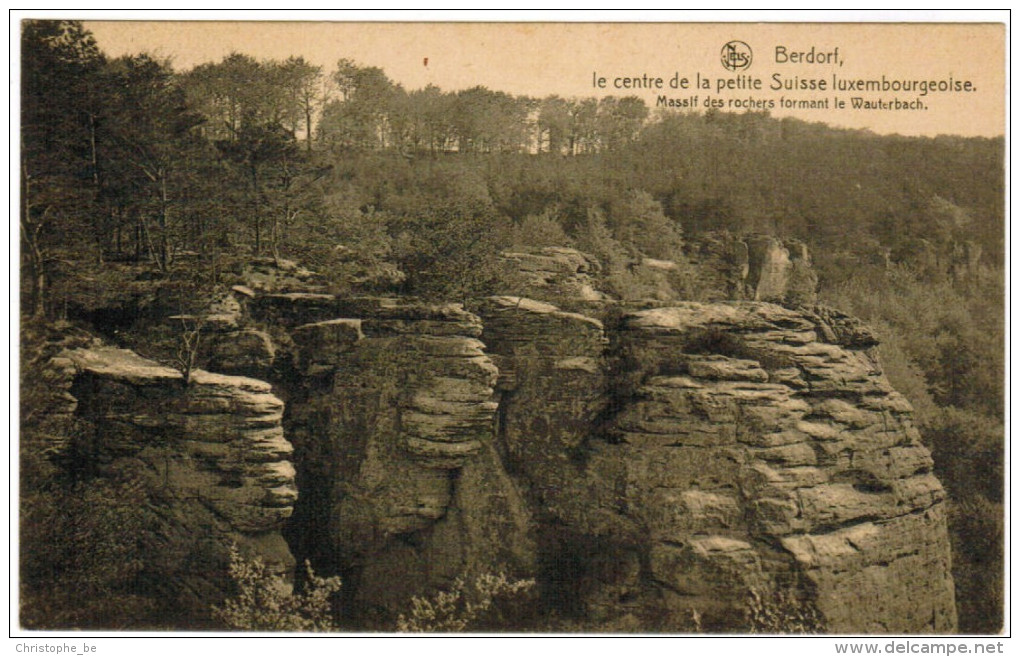 Berdorf, Le Centre De La Petite Suisse Luxembourgeoise (pk27618) - Berdorf