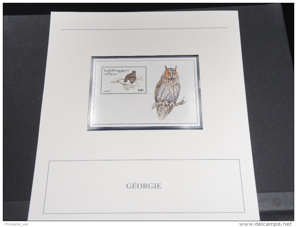 GEORGIE -  Bloc Luxe Avec Texte Explicatif - Belle Qualité - À Voir -  N° 11580 - Géorgie