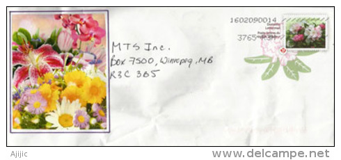 Bouquet De Fleurs Et Rhododendrons , Entier Postal Canadien Adressé à Winnipeg - 1953-.... Elizabeth II