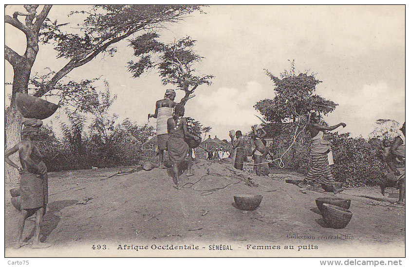 Afrique - Sénégal - Femmes Eau Puits - Sénégal