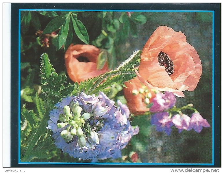 Calendrier De Poche/Carte De Voeux / GRUGE/Nogent Le Roi/1988       CAL268 - Petit Format : 1981-90