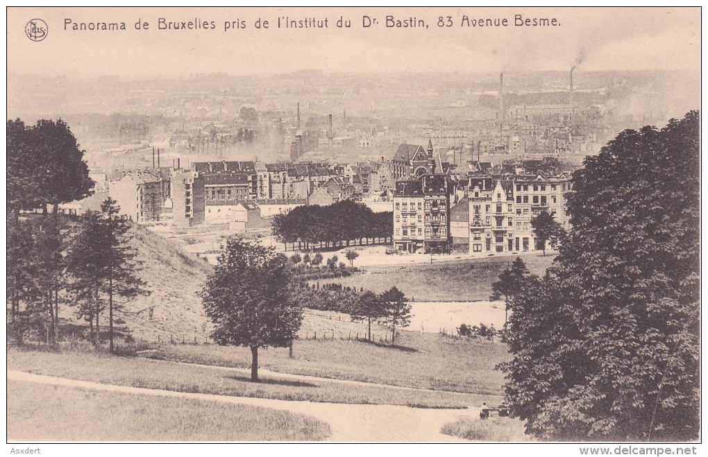 PANORAMA De BRUXELLES - Pris De L'INSTITUT Docteur BASTIN. AVENUE BESME - Forest - Vorst