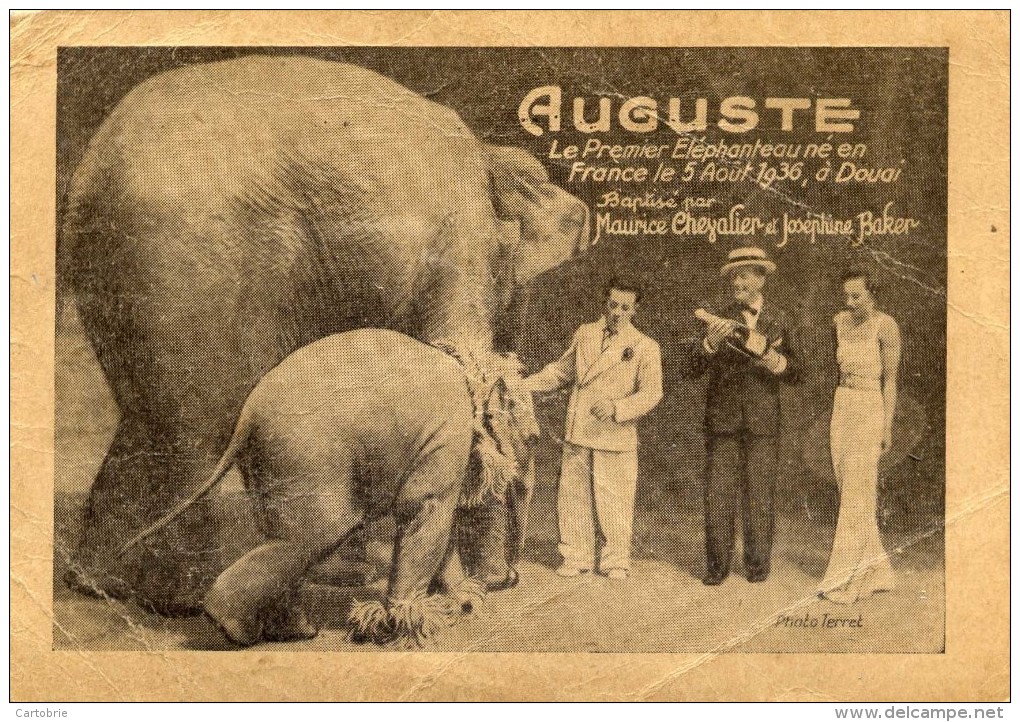 Auguste Elephant Joséphine BAKER Maurice CHEVALIER  En L´état - Artistes