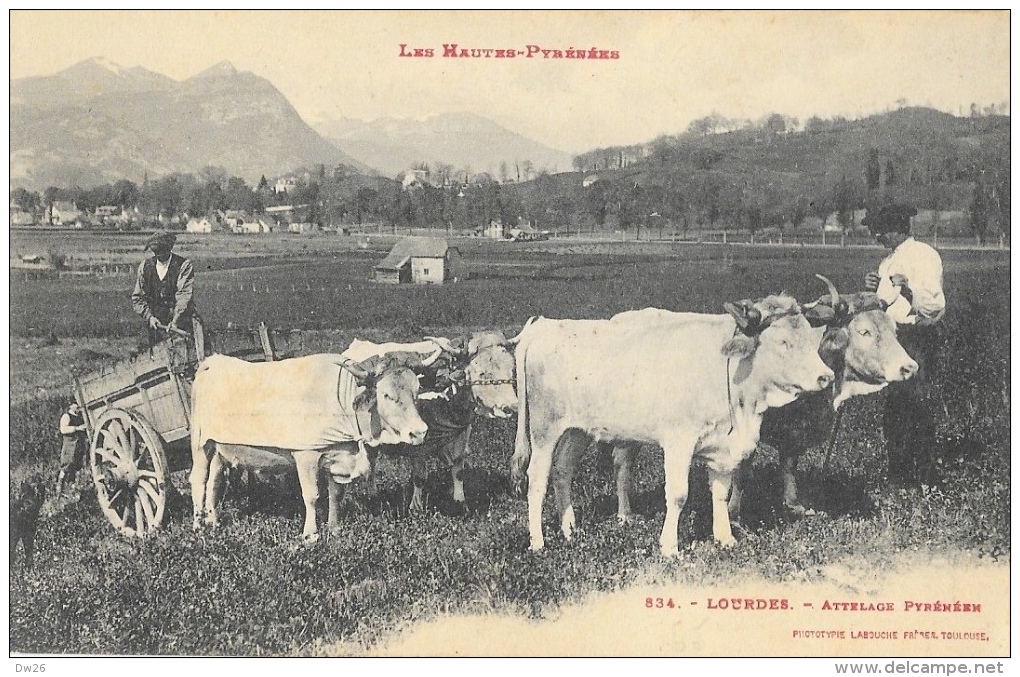 Lourdes - Attelage De 4 Boeufs Pyrénéens - Edition Labouche Frères - Carte LB Non Circulée N°834 - Attelages