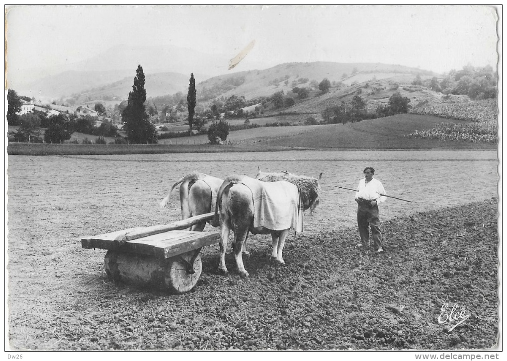 En Pays Basque - Le Passage Du Rouleau - Attelage De Boeufs - Edition L. Chatagneau - Carte Elce N°10.221 - Attelages