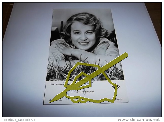 SIW MALMQUIST (MALMKVIST) AUTOGRAPHE AUTOGRAPH AUTOGRAMM AUTOGRAFO SUR Carte Photo 9 X 14 Cm - Autogramme