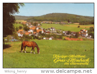 Grasellenbach Gras Ellenbach - Teilansicht 1 - Odenwald