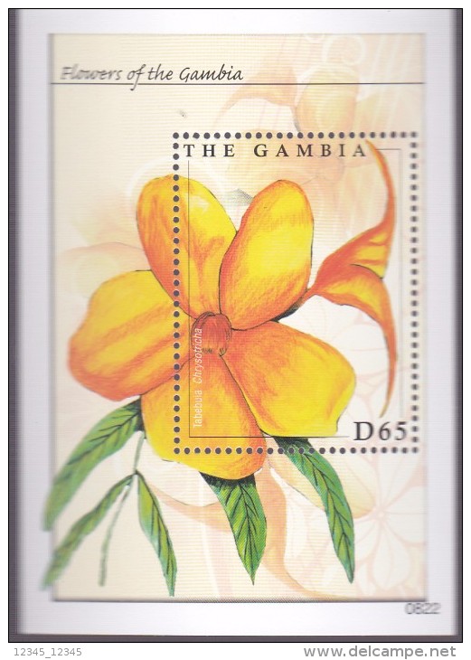 Gambia 2008, Postfris MNH, Flowers - Gambia (1965-...)