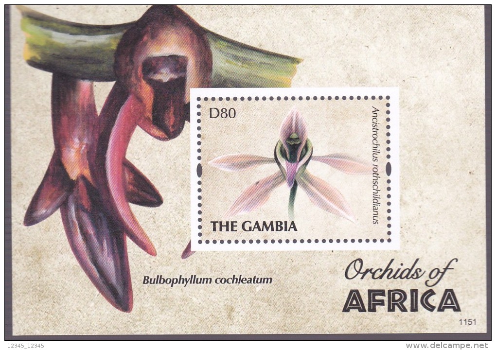 Gambia 2011, Postfris MNH, Flowers, Orchids - Gambia (1965-...)