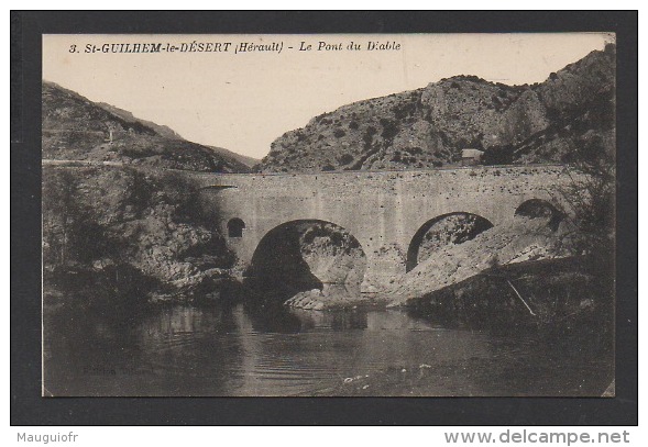 DF / 34 HERAULT / SAINT-GUILHEM-LE-DÉSERT / LE PONT DU DIABLE - Autres & Non Classés