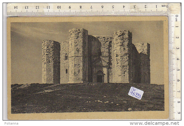 PO4822D# BARI - ANDRIA - CASTEL DEL MONTE  No VG - Andria