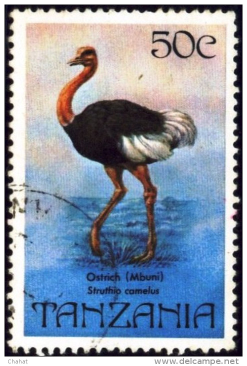 BIRDS-COMMON OSTRICH-TANZANIA-1982-CTO-B9-45 - Struzzi