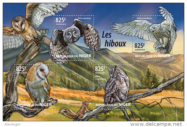 NIGER 2015 - Owls, Squirrel. Official Issue - Autres & Non Classés