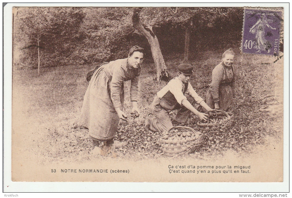 Notre Normandie - Cueillette Des Pommes - Basse-Normandie