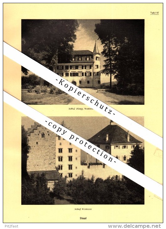 Photographien / Ansichten , 1937 , Staad / Thal SG , Risegg , Wartensee , Wartegg , Prospekt , Fotos , Architektur !!! - Thal