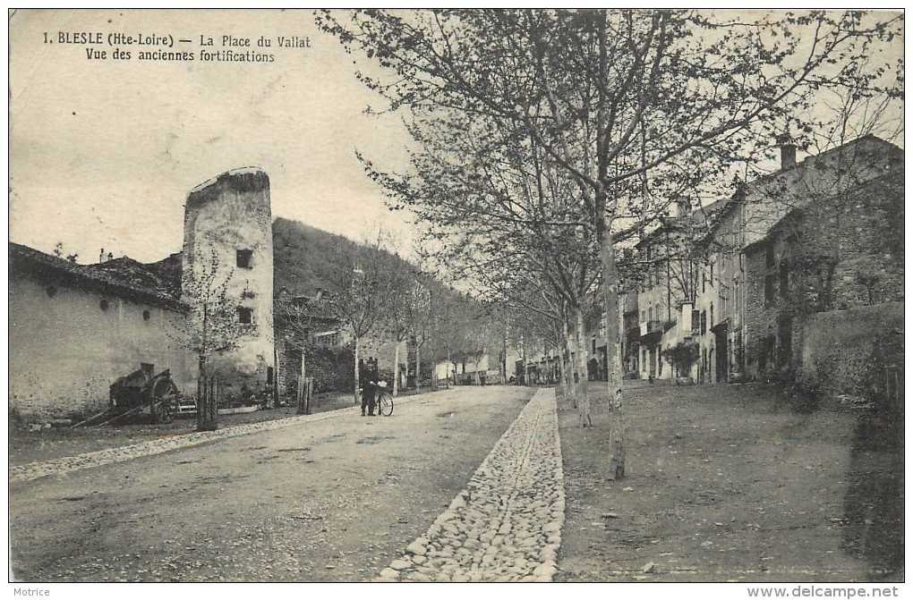 BLESLE - La Place Du Vallat, Vue Des Anciennes Fortifications. - Blesle