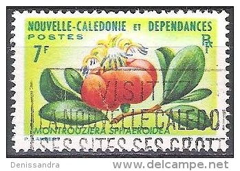 Nouvelle-Calédonie 1964 Yvert 319 O Cote (2015) 2.20 Euro Fleur Montrouzieri Sphaeroida - Gebraucht