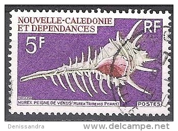 Nouvelle-Calédonie 1969 Yvert 359 O Cote (2015) 1.60 Euro Coquillage Murex Peigne De Vénus Cachet Rond - Used Stamps