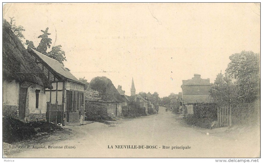 LA NEUVILLE DE BOSC - Rue Principale (carte Vendue En L'état) - Other & Unclassified