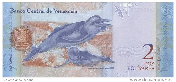 Lote VB1, Venezuela, 6 Billetes, Bank Notes, (2, 5, 10, 20, 50, 100 Bolivar Fuerte), Fauna, Bird, Turtle, Indigenous - Venezuela