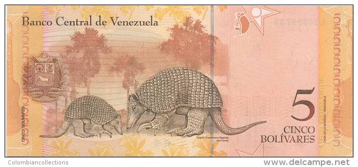 Lote VB1, Venezuela, 6 Billetes, Bank Notes, (2, 5, 10, 20, 50, 100 Bolivar Fuerte), Fauna, Bird, Turtle, Indigenous - Venezuela