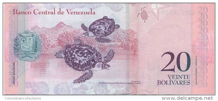 Lote VB1, Venezuela, 6 billetes, Bank notes, (2, 5, 10, 20, 50, 100 bolivar fuerte), Fauna, bird, turtle, indigenous