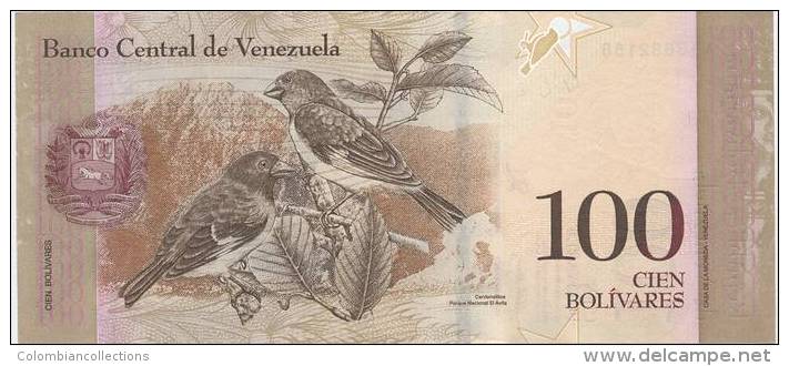 Lote VB1, Venezuela, 6 billetes, Bank notes, (2, 5, 10, 20, 50, 100 bolivar fuerte), Fauna, bird, turtle, indigenous