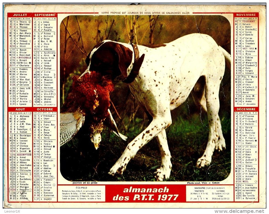 ALMANACH DES P.T.T. 1977 (67)   -  ** AU BORD DU LOIR  -  POINTER EST SA PROIE **  - Calendrier OLLER - N° 216 - Big : 1971-80